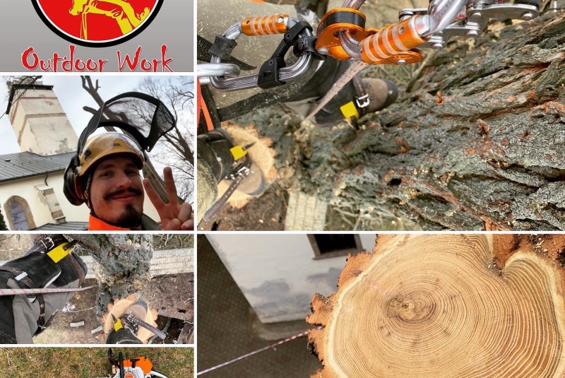 Agát biely, Farský úrad Kežmarok