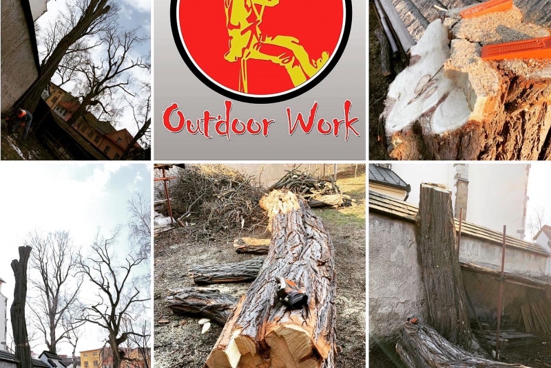 Agát biely, Farský úrad Kežmarok