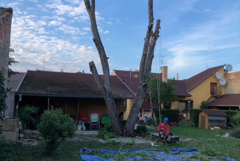 Lučenec - rezanie konárov Lučenec - rezanie konárov