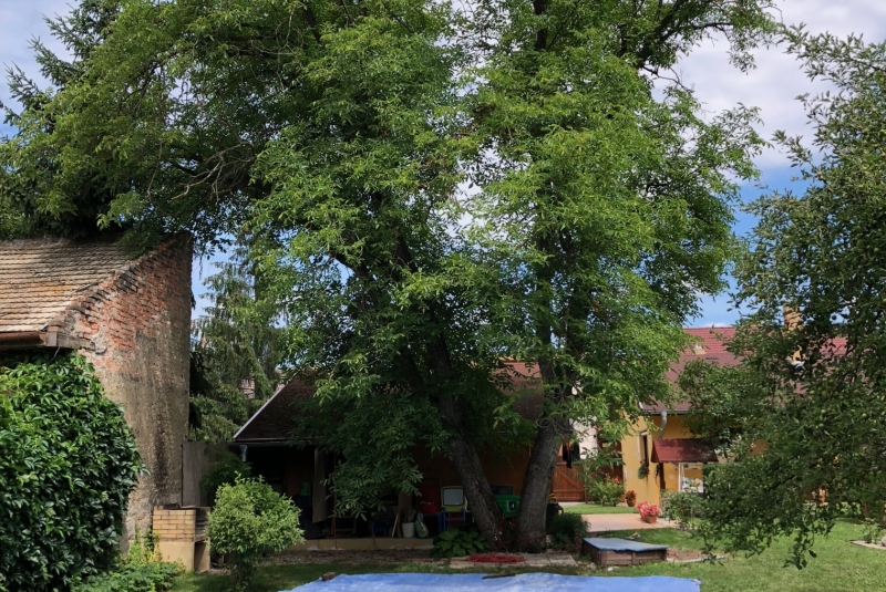 Lučenec - stav pred orezom Lučenec - stav pred orezom