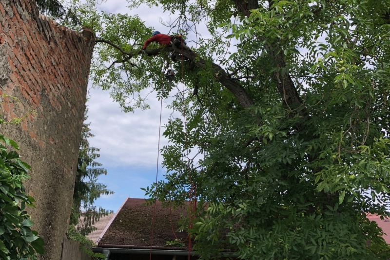 Lučenec - stav pred orezom Lučenec - stav pred orezom