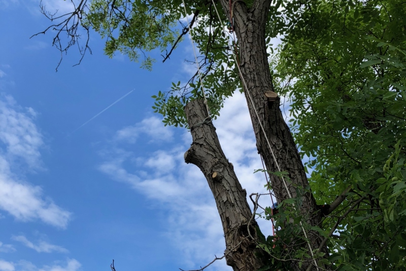 Lučenec - stav pred orezom Lučenec - stav pred orezom