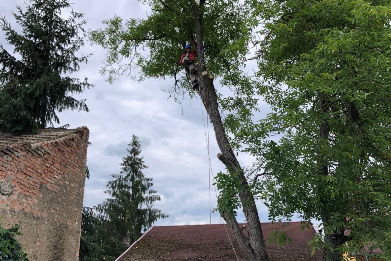 Lučenec - stav pred orezom Lučenec - stav pred orezom