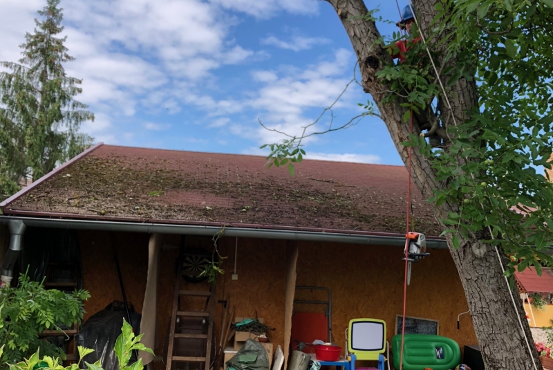 Lučenec - strom Lučenec - strom