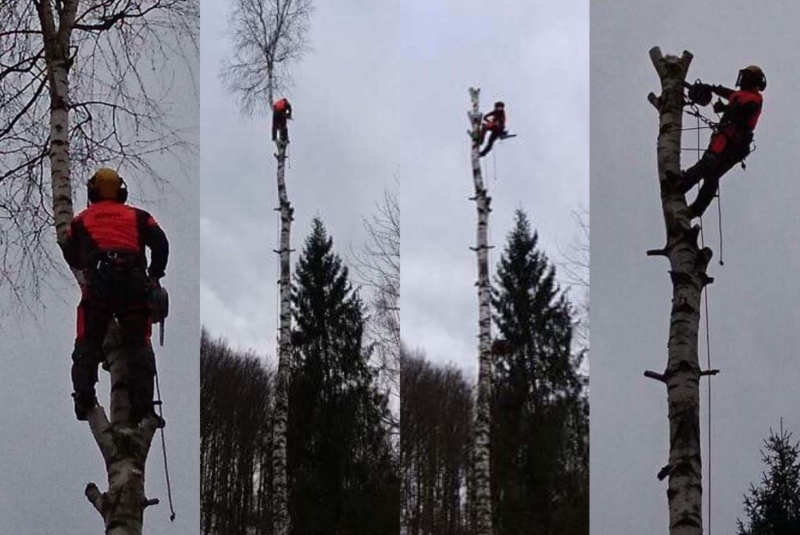 Rezanie Ružín 01/2018 - koláž Rezanie Ružín 01/2018 - koláž