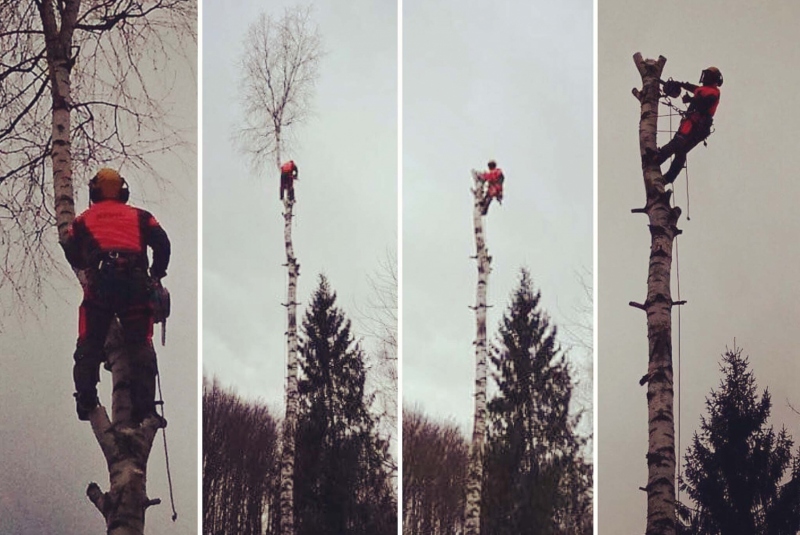 Rezanie Ružín 01/2018 - koláž Rezanie Ružín 01/2018 - koláž