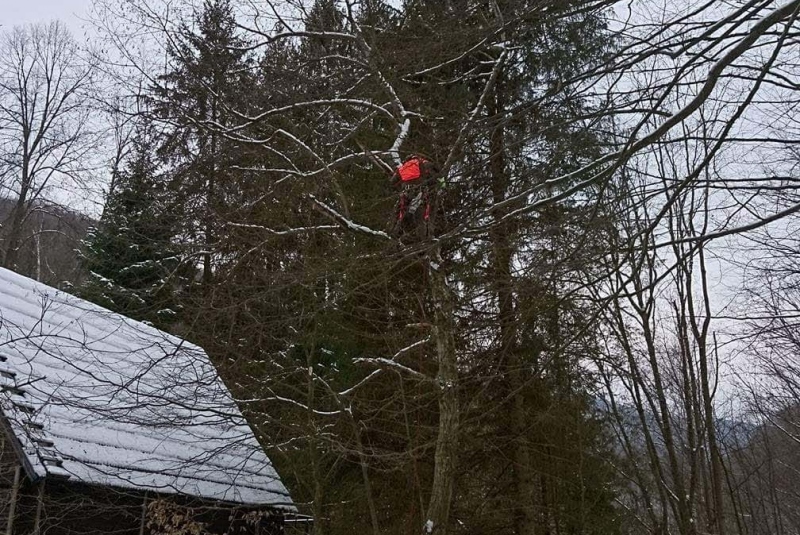 Rezanie Ružín 01/2018 - orez konárov