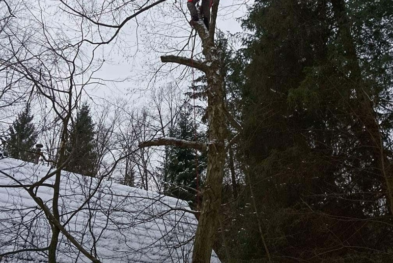 Rezanie Ružín 01/2018 - orez konárov