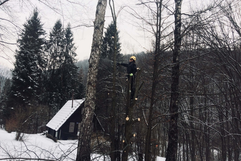 Rezanie Ružín 01/2018 - orez konárov