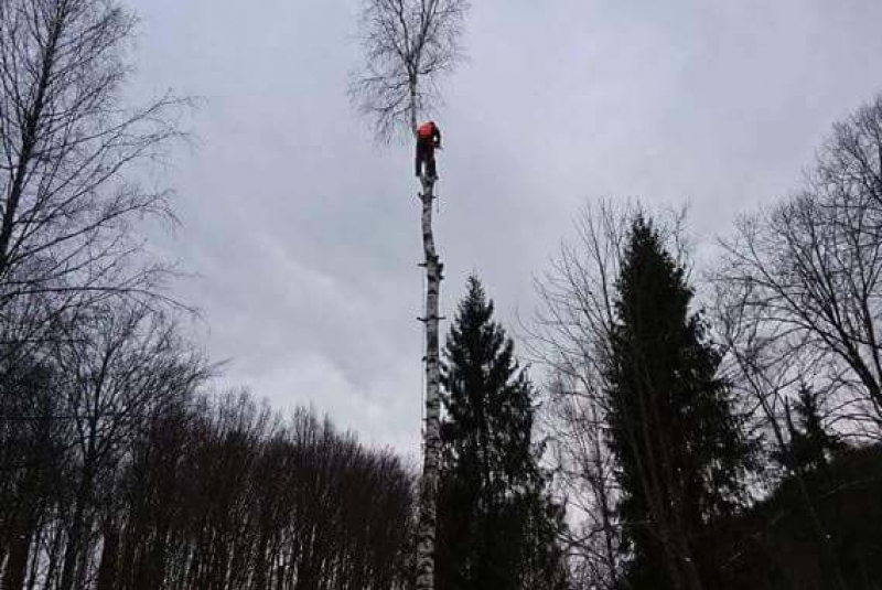 Rezanie Ružín 01/2018 - orez konárov Rezanie Ružín 01/2018 - orez konárov