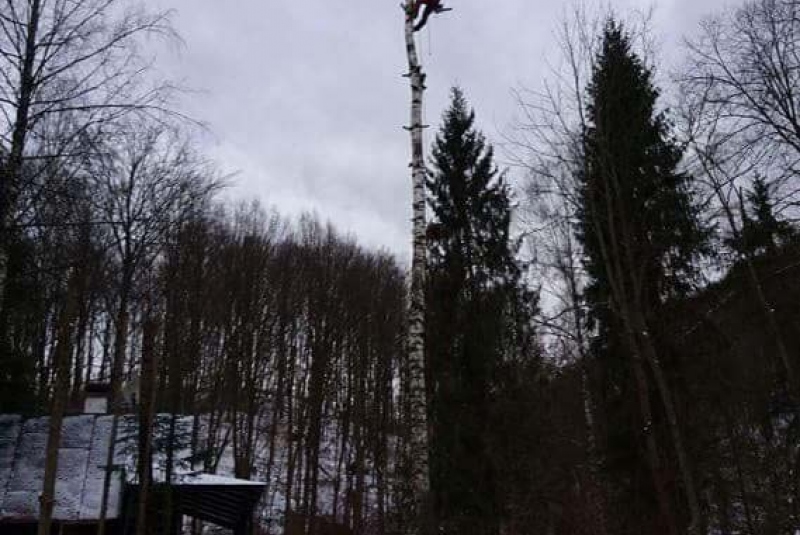 Rezanie Ružín 01/2018 - orez konárov