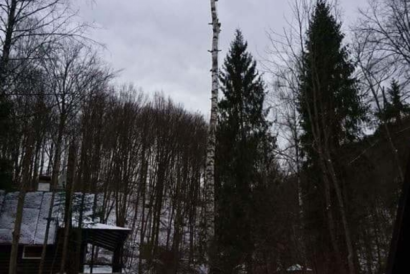 Rezanie Ružín 01/2018 - orez konárov