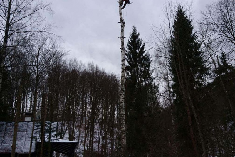 Rezanie Ružín 01/2018 - orez konárov