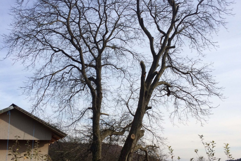 Uzovské Pekľany - hore