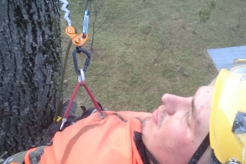 Uzovské Pekľany - lezenie na strom Uzovské Pekľany - lezenie na strom