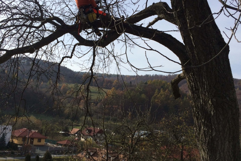 Uzovské Pekľany - na konári Uzovské Pekľany - na konári