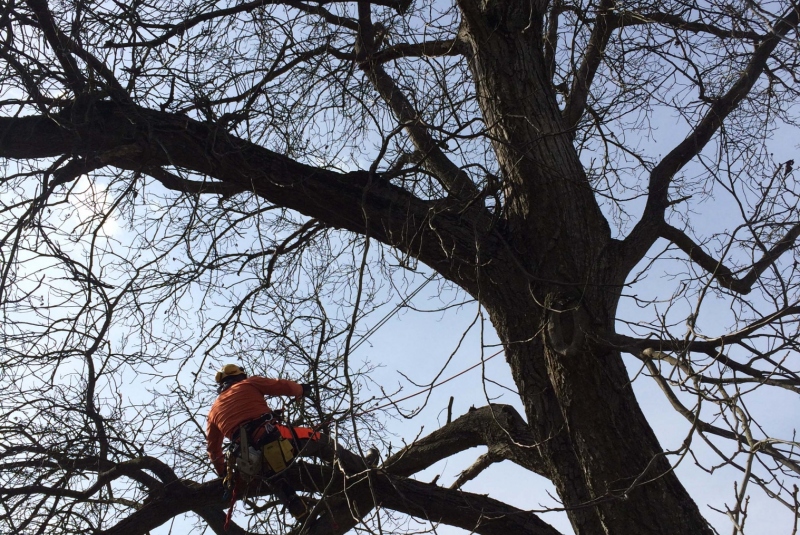 Uzovské Pekľany - na konári Uzovské Pekľany - na konári