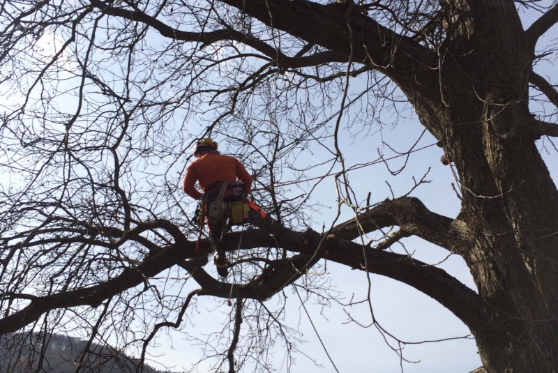 Uzovské Pekľany - na konári Uzovské Pekľany - na konári