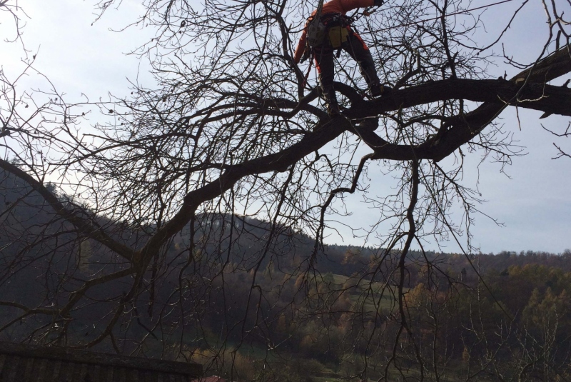 Uzovské Pekľany - na konári Uzovské Pekľany - na konári