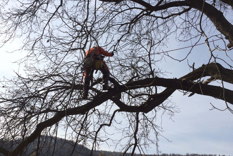 Uzovské Pekľany - na konári Uzovské Pekľany - na konári