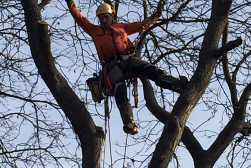 Uzovské Pekľany - orez konárov Uzovské Pekľany - orez konárov