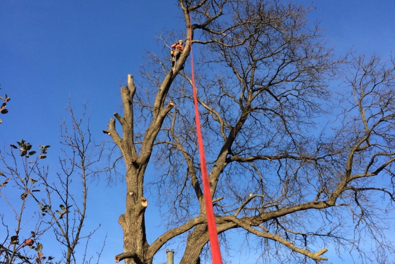 Uzovské Pekľany - pohľad z dola Uzovské Pekľany - pohľad z dola