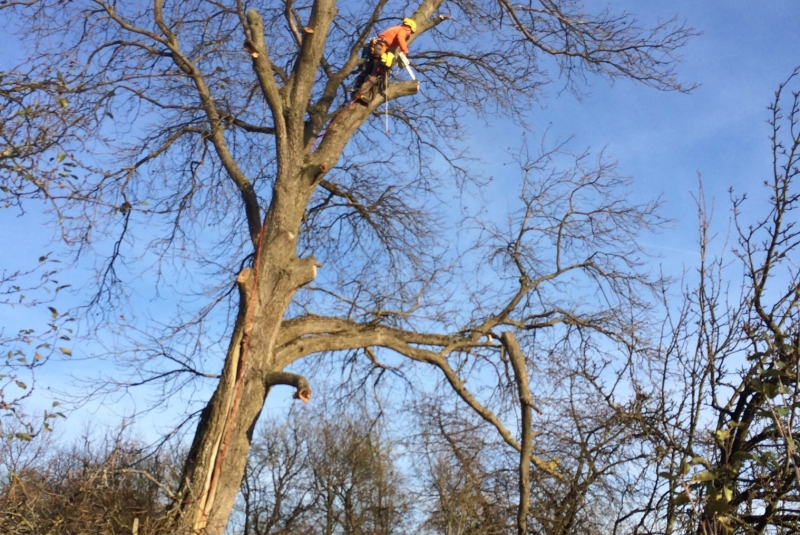 Uzovské Pekľany - práca vo výške Uzovské Pekľany - práca vo výške