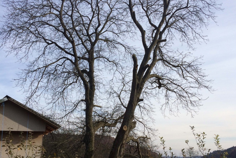 Uzovské Pekľany - práca vo výške Uzovské Pekľany - práca vo výške