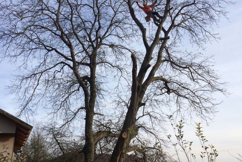 Uzovské Pekľany - práca vo výške Uzovské Pekľany - práca vo výške