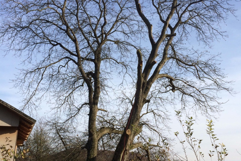 Uzovské Pekľany - práca vo výške Uzovské Pekľany - práca vo výške