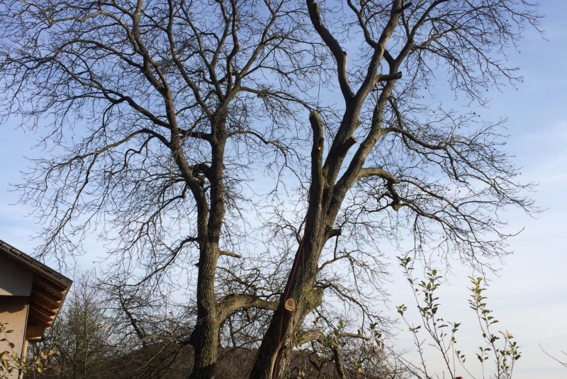 Uzovské Pekľany - práca vo výške Uzovské Pekľany - práca vo výške