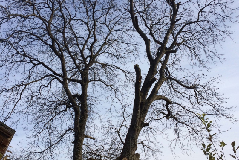 Uzovské Pekľany Uzovské Pekľany