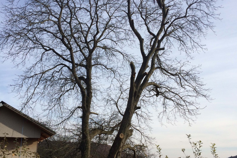 Uzovské Pekľany Uzovské Pekľany