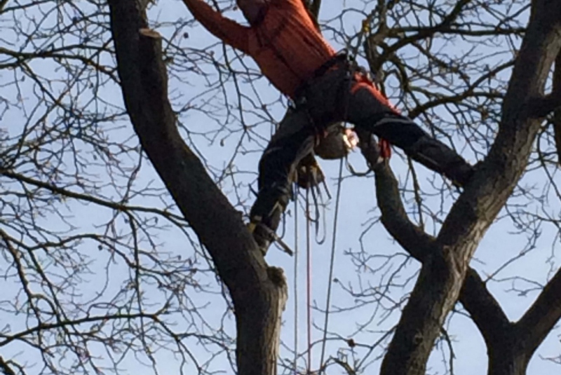 Uzovské Pekľany Uzovské Pekľany