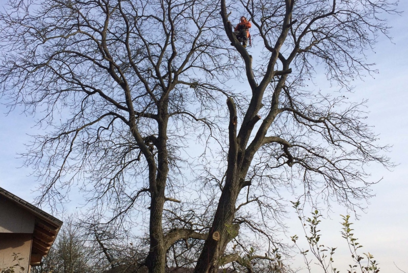 Uzovské Pekľany Uzovské Pekľany