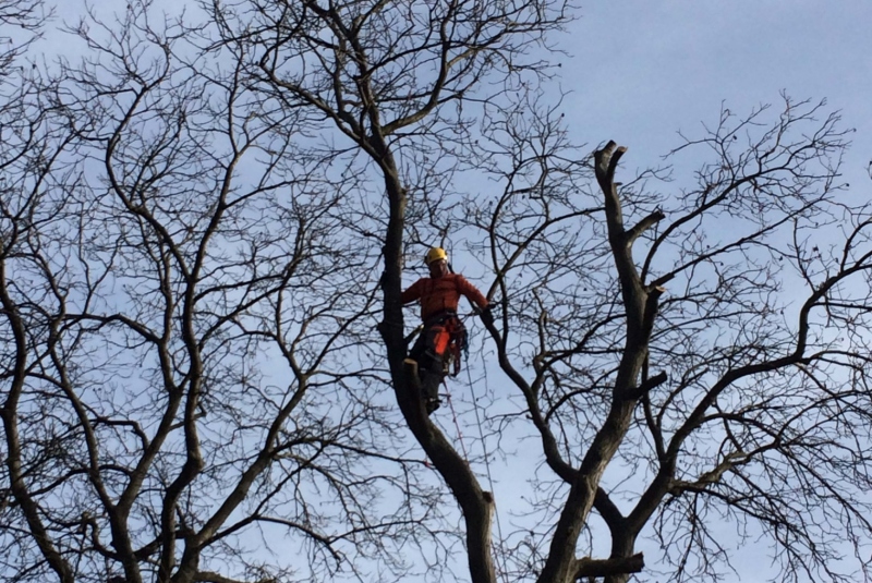 Uzovské Pekľany Uzovské Pekľany