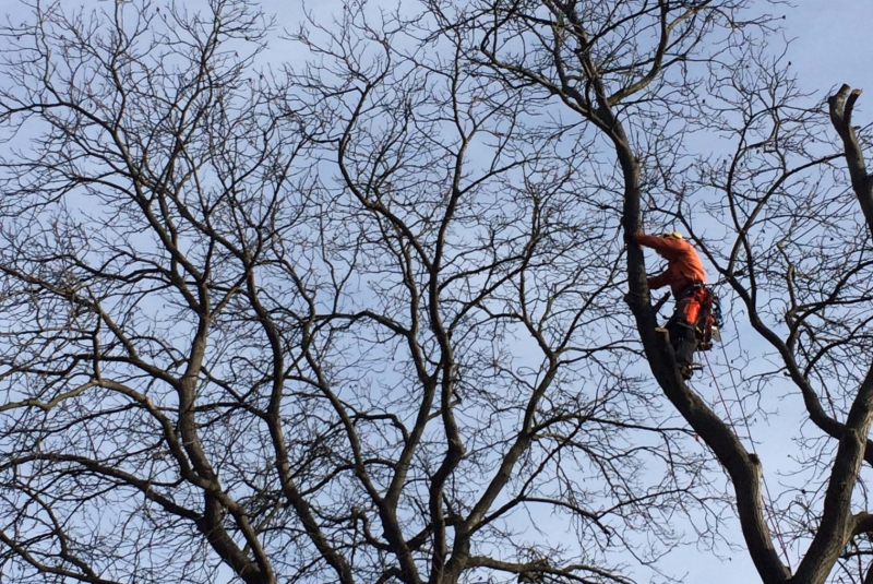 Uzovské Pekľany Uzovské Pekľany