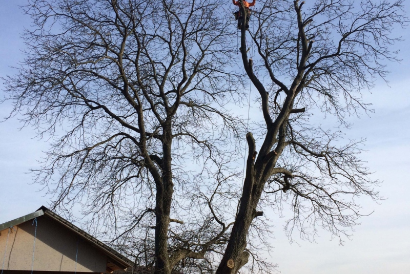 Uzovské Pekľany Uzovské Pekľany