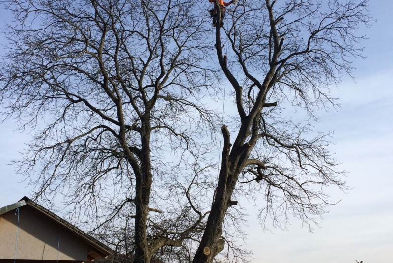 Uzovské Pekľany Uzovské Pekľany