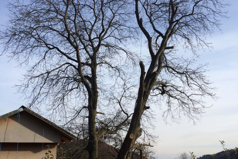 Uzovské Pekľany Uzovské Pekľany