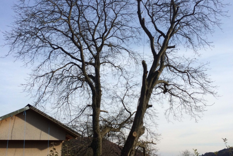 Uzovské Pekľany Uzovské Pekľany