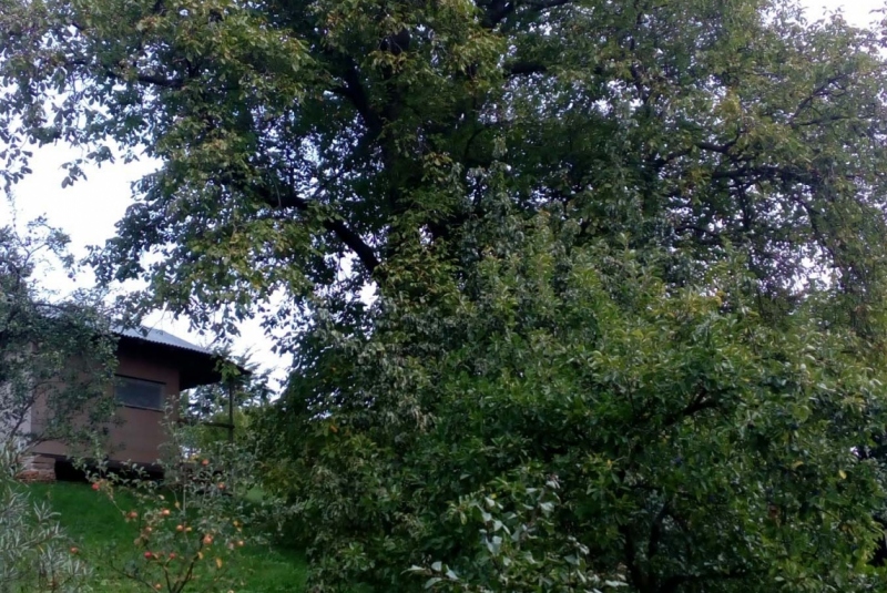 Uzovské Pekľany pôvodný stav Uzovské Pekľany pôvodný stav