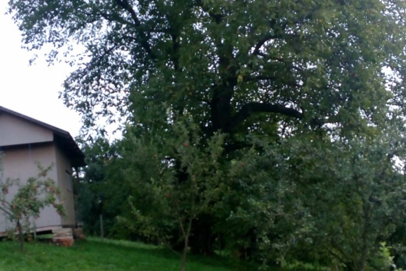 Uzovské Pekľany pôvodný stav Uzovské Pekľany pôvodný stav