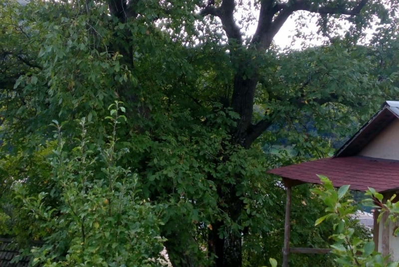 Uzovské Pekľany pôvodný stav Uzovské Pekľany pôvodný stav