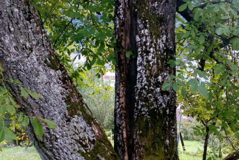 Uzovské Pekľany pôvodný stav Uzovské Pekľany pôvodný stav